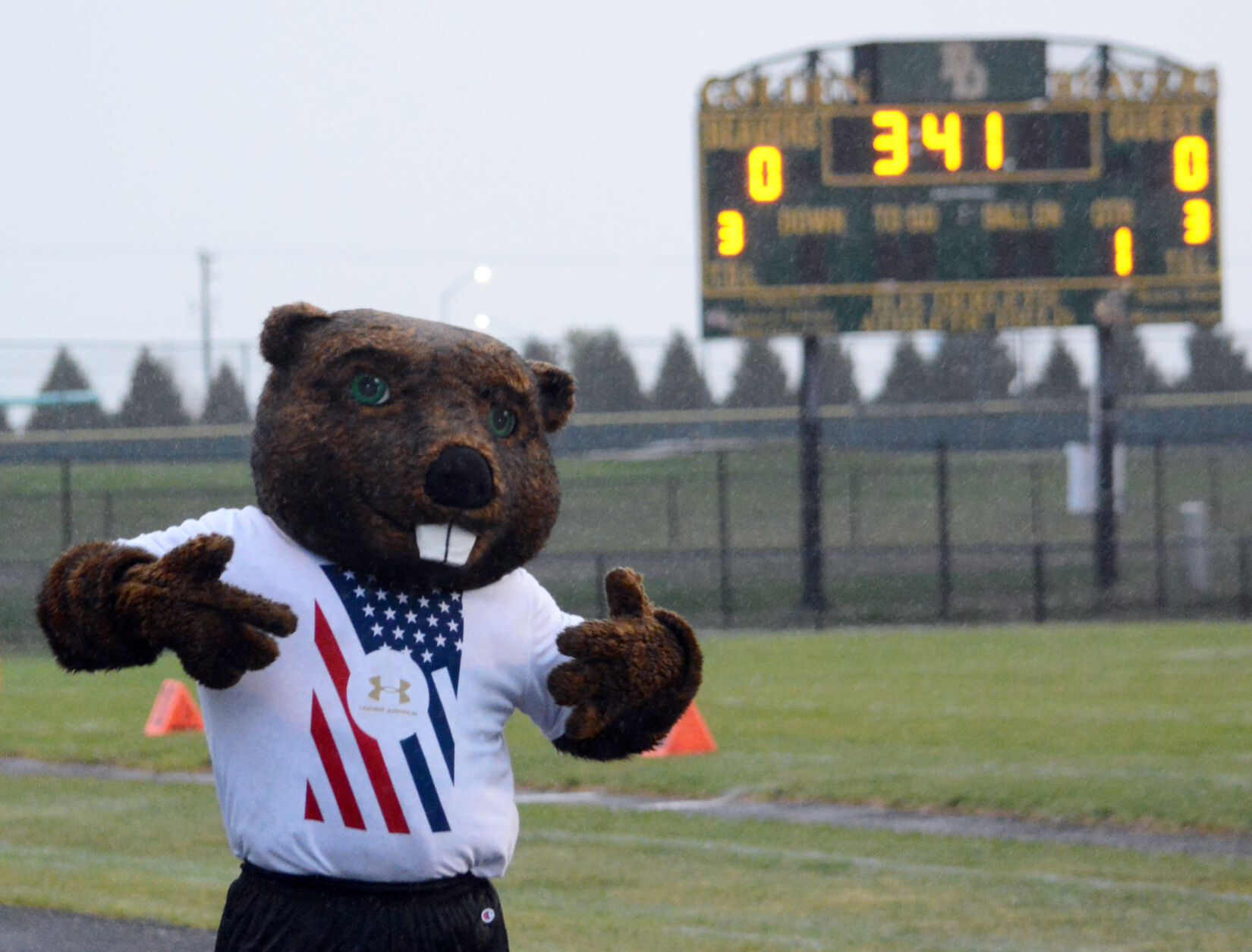Benny the Beaver 2.jpg